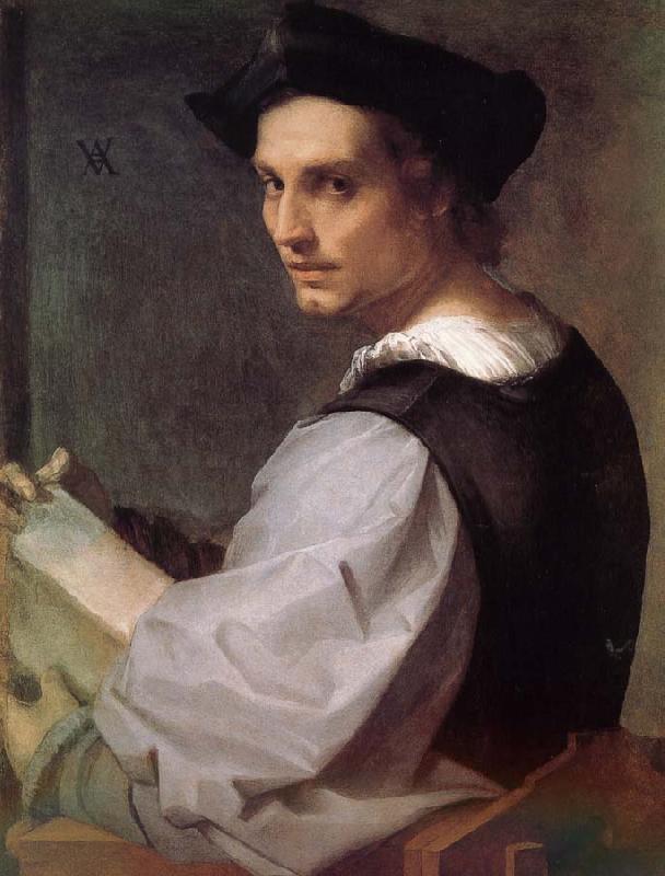 Andrea del Sarto Man portrait Germany oil painting art